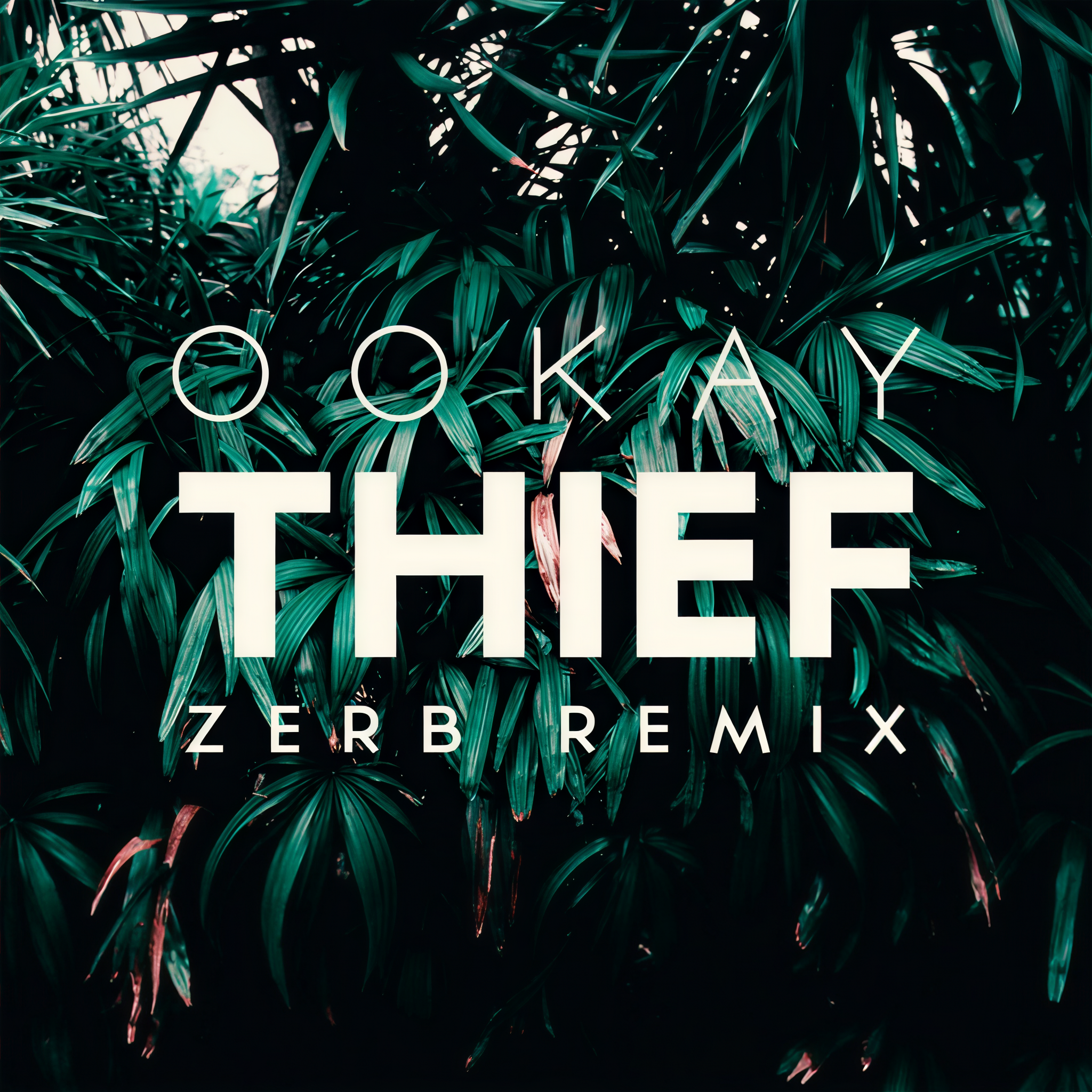 thief(thief stole) thief(thief stole)