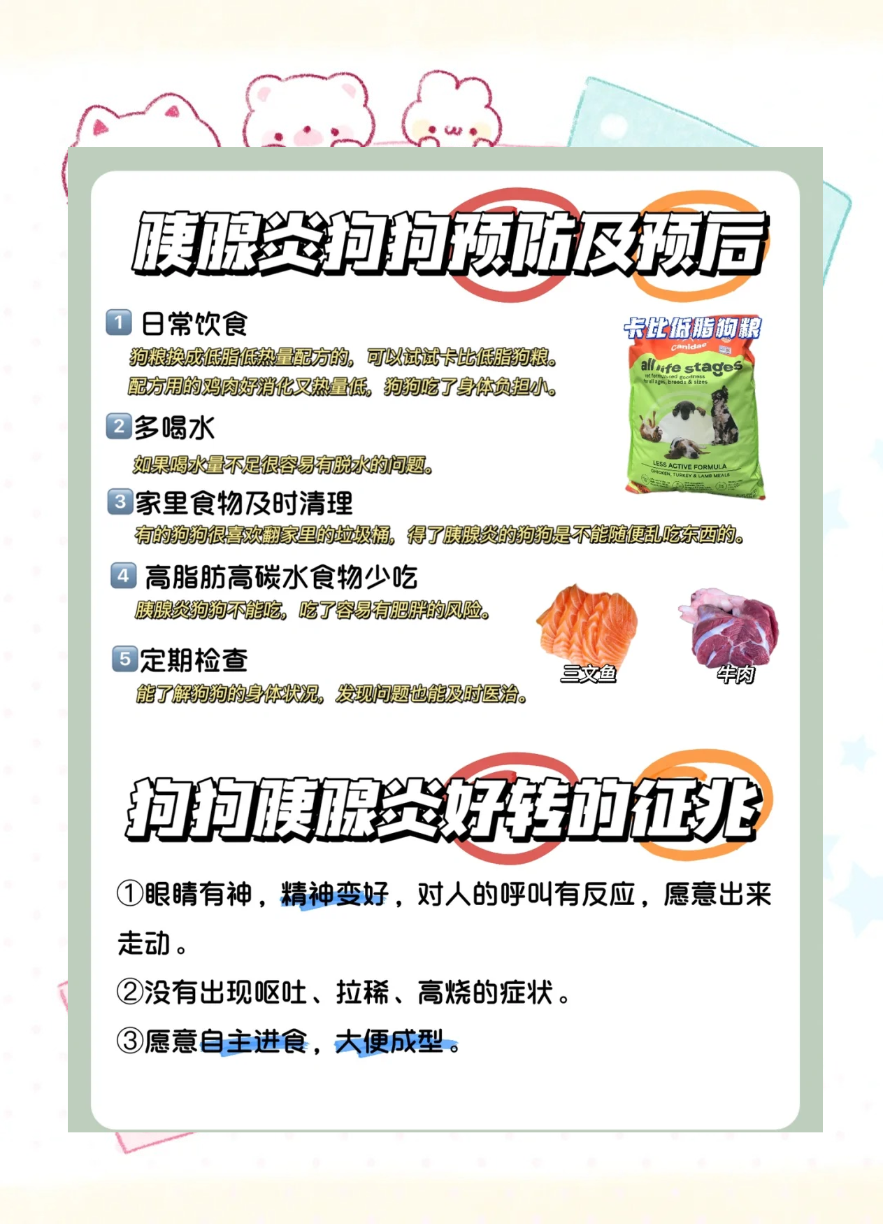 怎么判断狗狗有没有胰腺炎(怎么确诊狗狗是不是得了胰腺炎) 怎么判断狗狗有没有胰腺炎(怎么确诊狗狗是不是得了胰腺炎)
