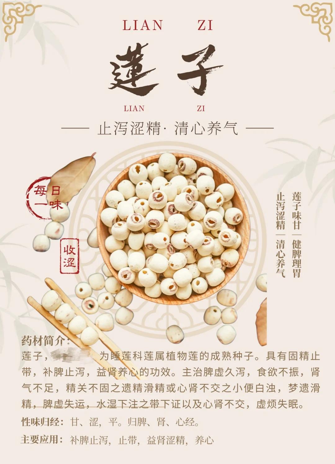 莲子心的危害(莲子心的危害肝吗) 莲子心的危害(莲子心的危害肝吗)