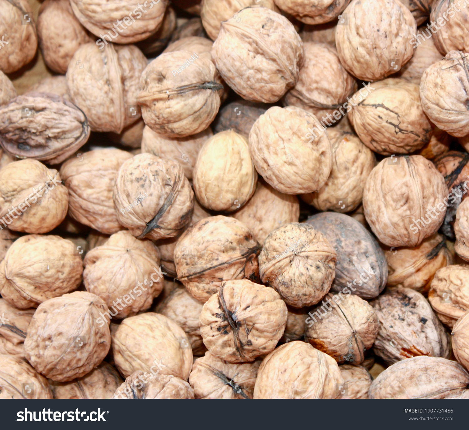 nut是什么意思英语的简单介绍 nut是什么意思英语的简单介绍