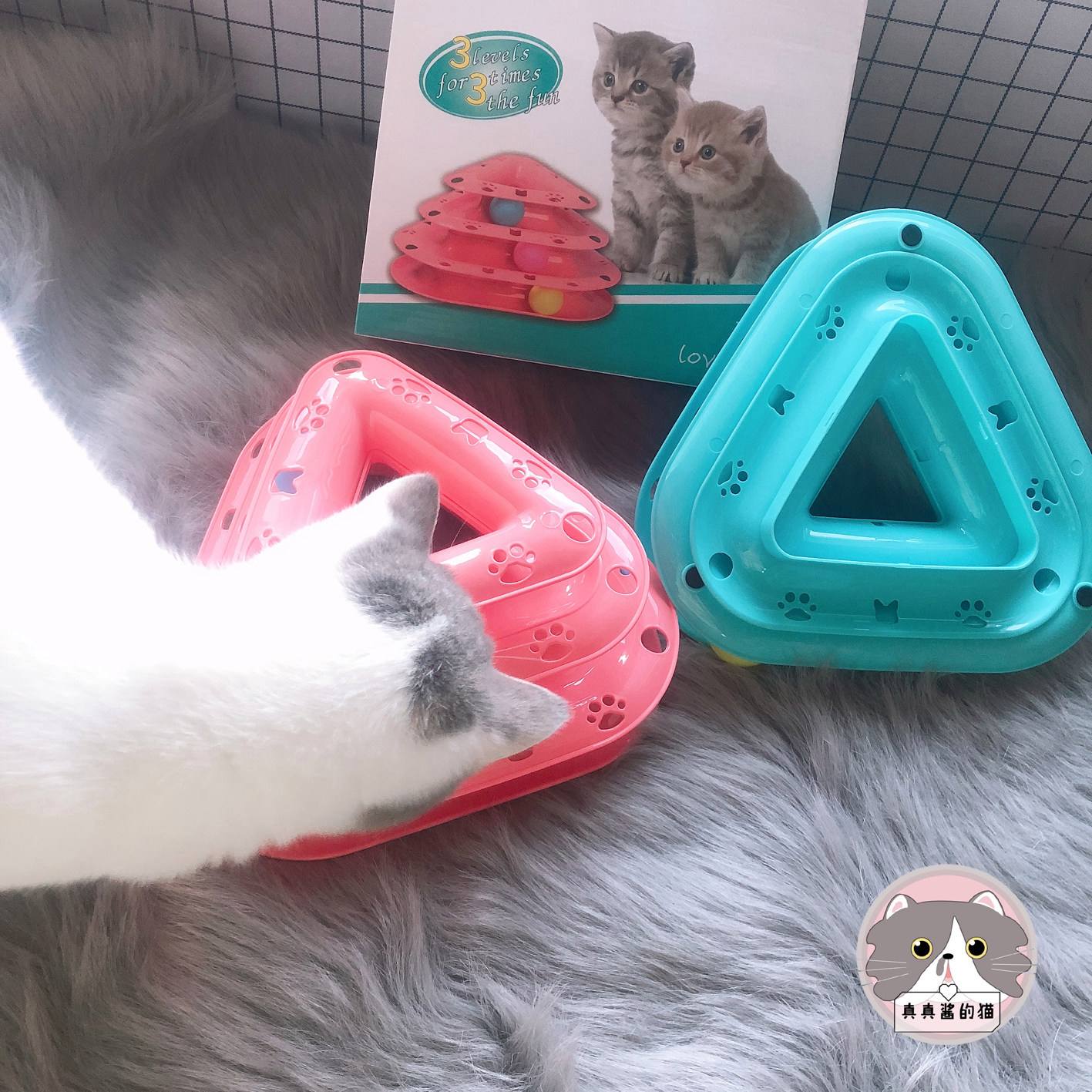 工具猫(工具猫菊花纹文字生成器免费) 工具猫(工具猫菊花纹文字生成器免费)