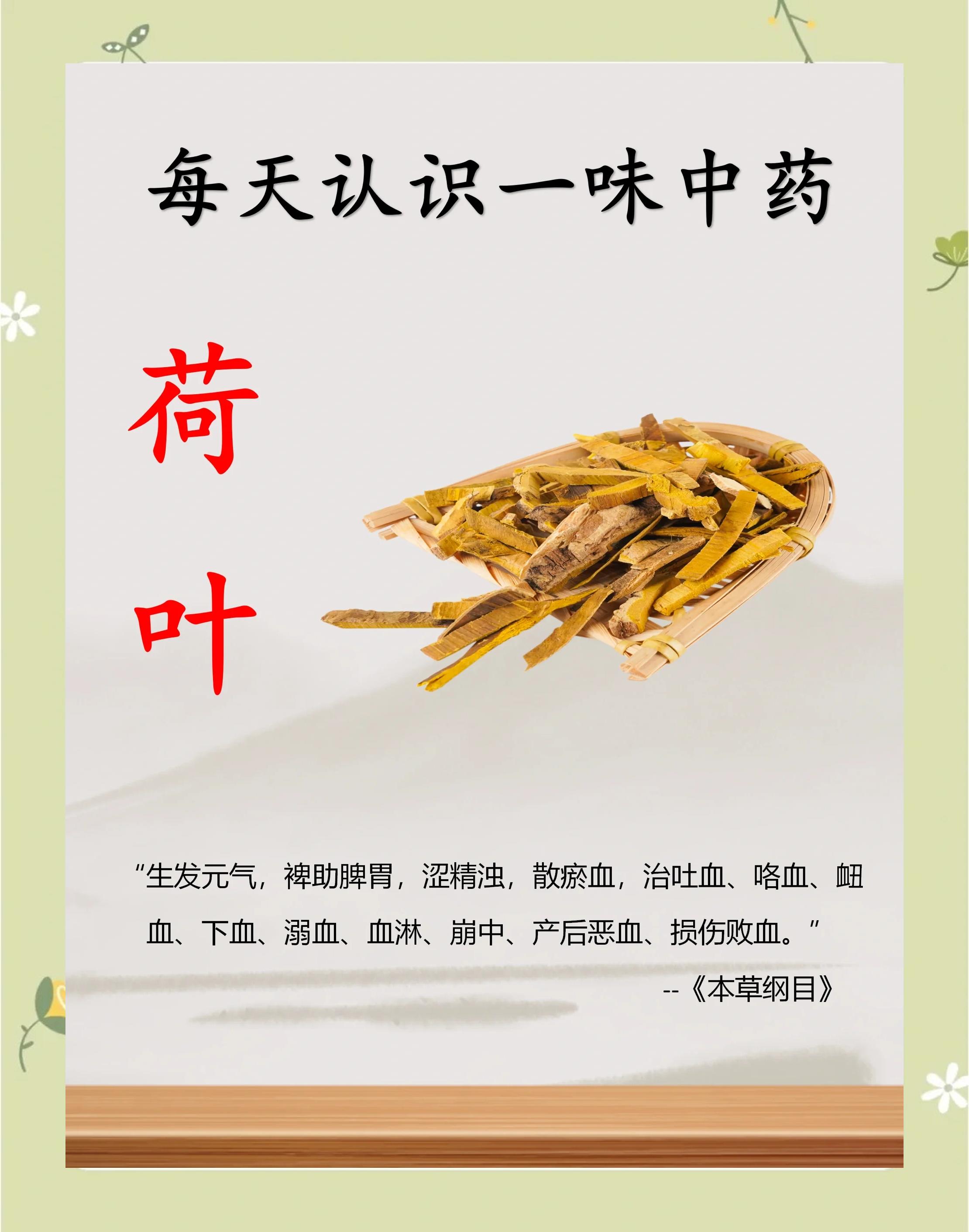 芦苇叶的功效与作用(芦苇叶的功效与作用是什么) 芦苇叶的功效与作用(芦苇叶的功效与作用是什么)