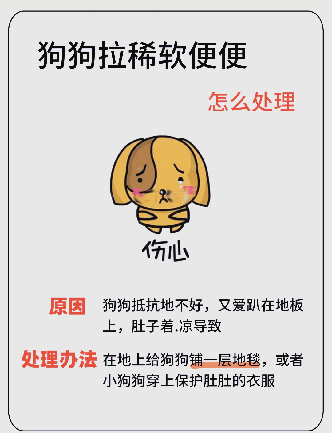 狗狗眼屎白色粘稠拉丝原因(狗狗眼屎白色粘稠拉丝用什么药水) 狗狗眼屎白色粘稠拉丝原因(狗狗眼屎白色粘稠拉丝用什么药水)