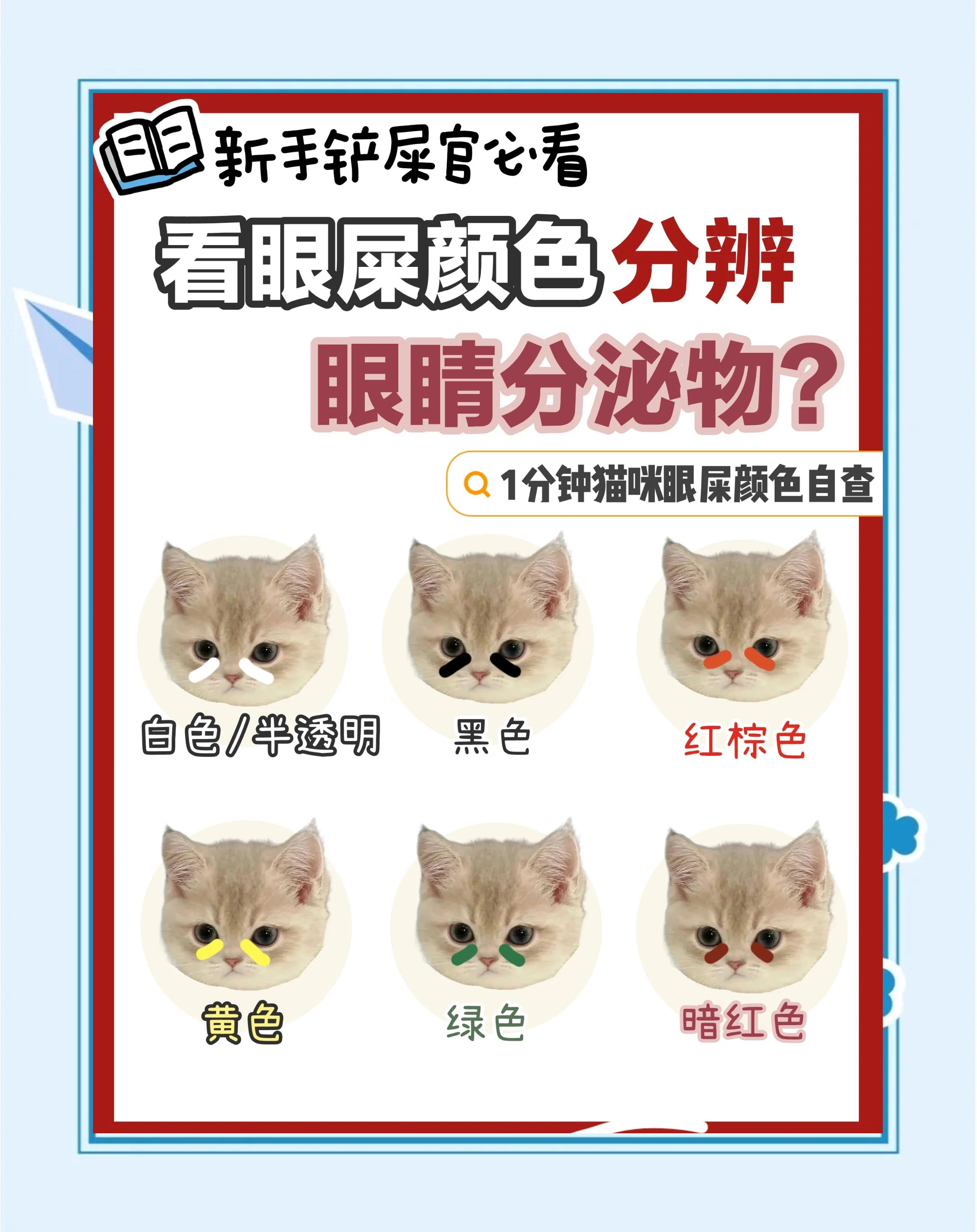 狗狗眼屎白色粘稠拉丝原因(狗狗眼屎白色粘稠拉丝用什么药水) 狗狗眼屎白色粘稠拉丝原因(狗狗眼屎白色粘稠拉丝用什么药水)