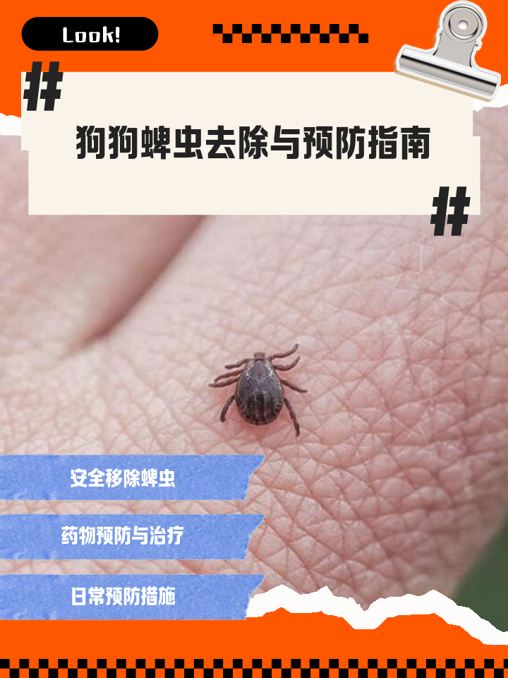 蚊子会咬狗狗吗(蚊子会咬狗狗吗为什么)