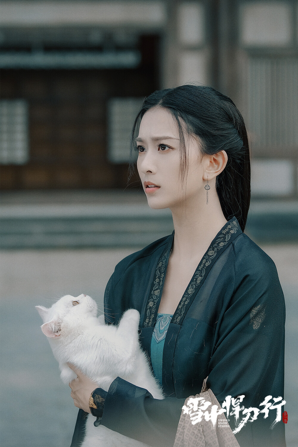 雪中悍刀行全本txt(雪中悍刀行全本TXT下载免费让你终是求而不得) 雪中悍刀行全本txt(雪中悍刀行全本TXT下载免费让你终是求而不得)