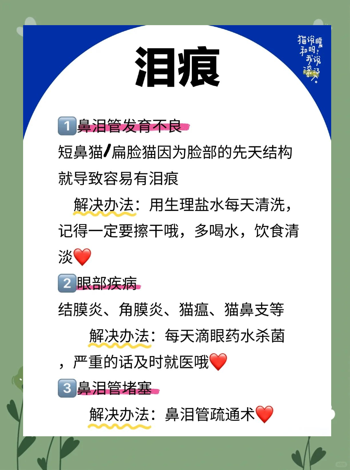 猫眼睛流泪是怎么回事(猫眼睛流泪睁不开是怎么回事) 猫眼睛流泪是怎么回事(猫眼睛流泪睁不开是怎么回事)
