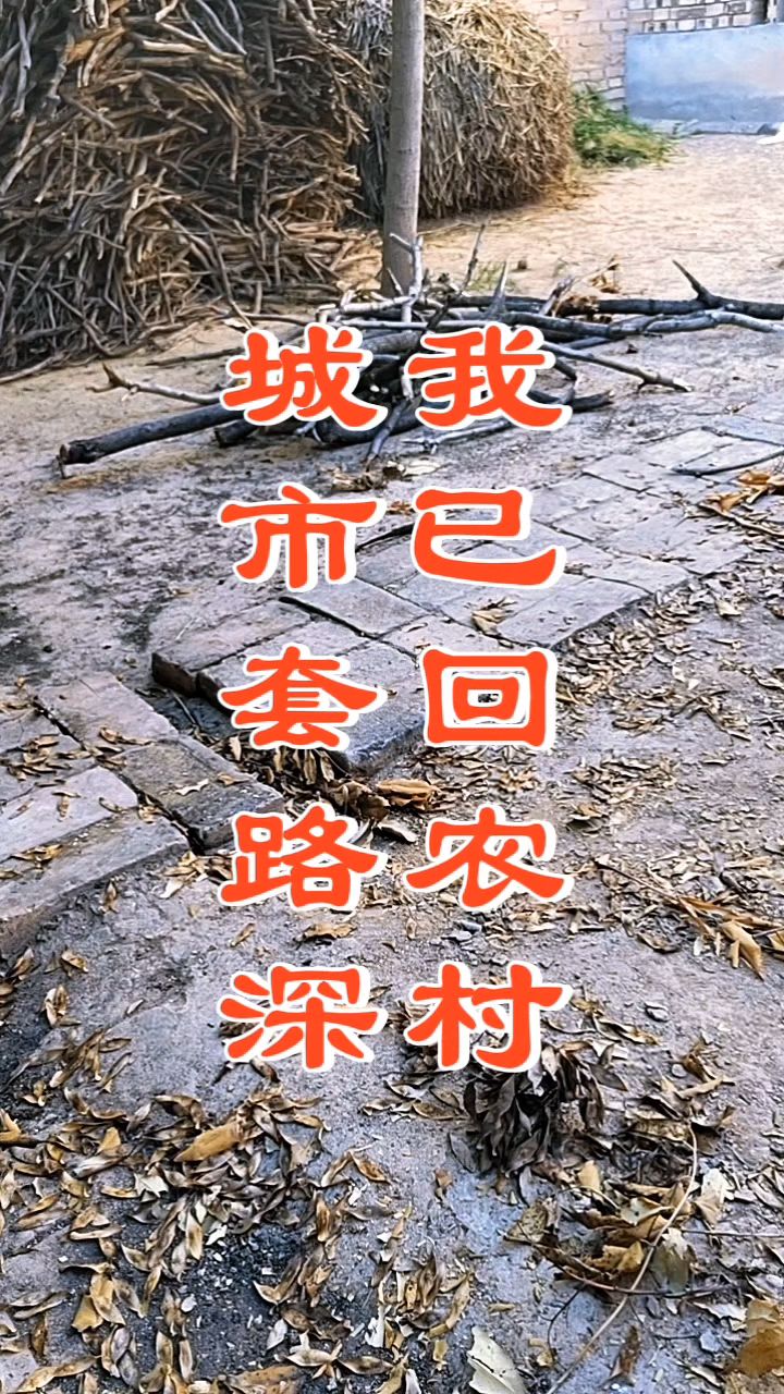 城市套路深的幽默句子(人生处处是坑,套路深经典语录) 城市套路深的幽默句子(人生处处是坑,套路深经典语录)