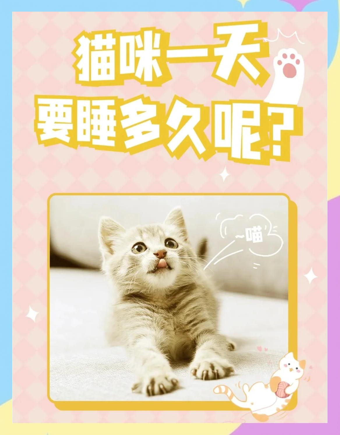 猫咪睡觉打鼾正常吗(猫咪睡觉打鼾正常吗视频) 猫咪睡觉打鼾正常吗(猫咪睡觉打鼾正常吗视频)