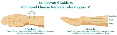 pulse是什么意思(pulse是什么意思中文翻译) pulse是什么意思(pulse是什么意思中文翻译)