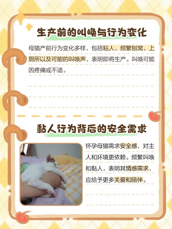 猫总是叫唤怎么回事(猫总是叫唤怎么回事还总蹭东西) 猫总是叫唤怎么回事(猫总是叫唤怎么回事还总蹭东西)