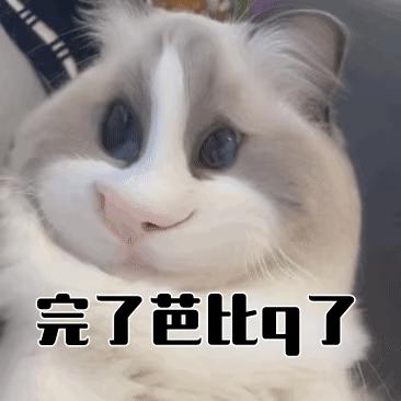 q我是什么意思网络用语(qwq是什么意思网络用语) q我是什么意思网络用语(qwq是什么意思网络用语)