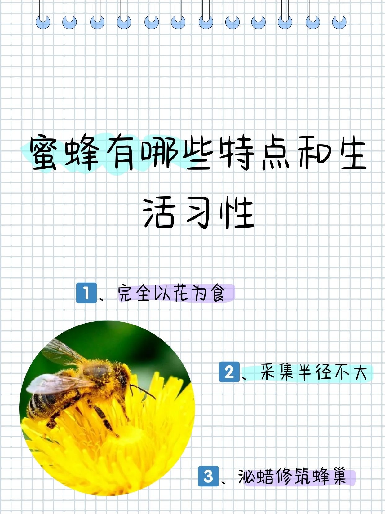 蜜蜂为什么要酿蜜(蜜蜂为什么要酿蜜,蜂蜜怎么分辨真假?) 蜜蜂为什么要酿蜜(蜜蜂为什么要酿蜜,蜂蜜怎么分辨真假?)