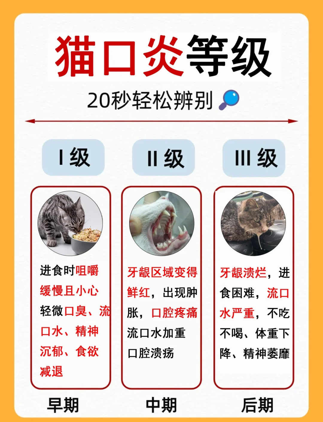 幼猫咬人怎么教育(幼猫咬人怎么教育好)