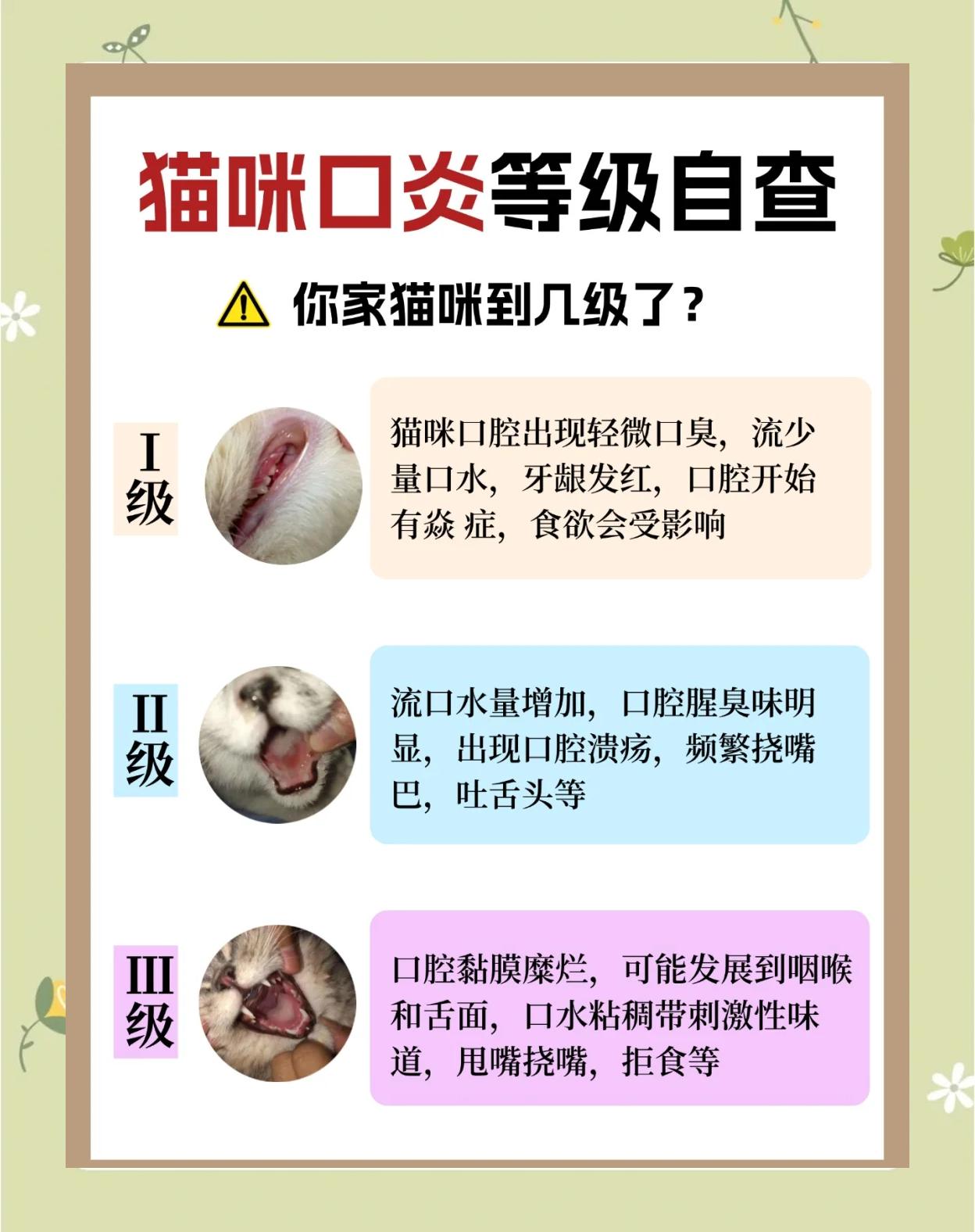 幼猫咬人怎么教育(幼猫咬人怎么教育好)