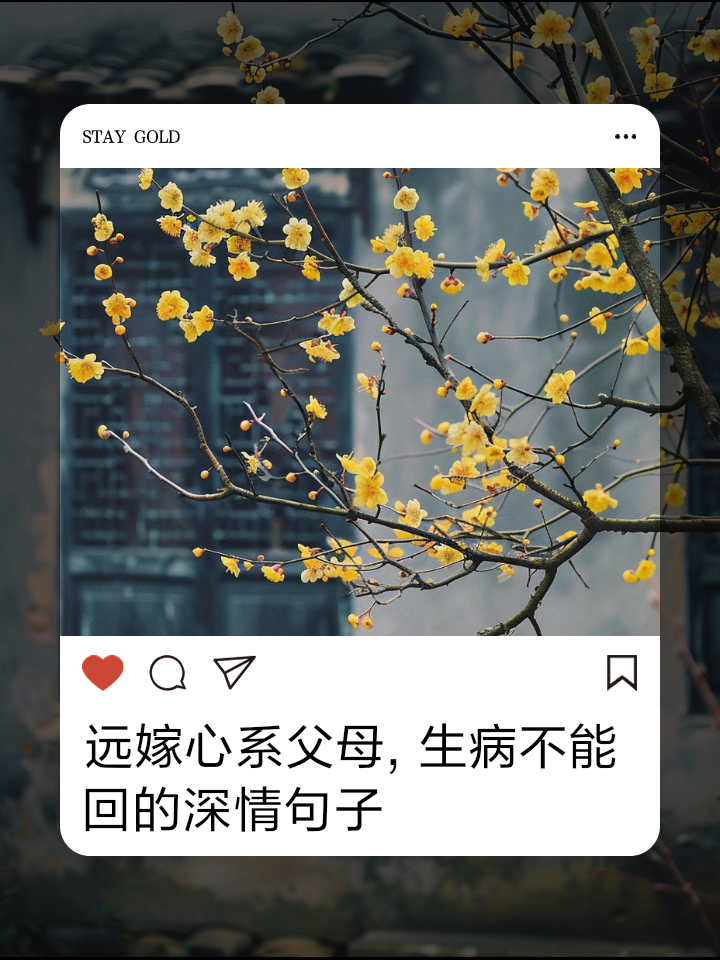 离乡的伤感句子(离乡的伤感句子图片)