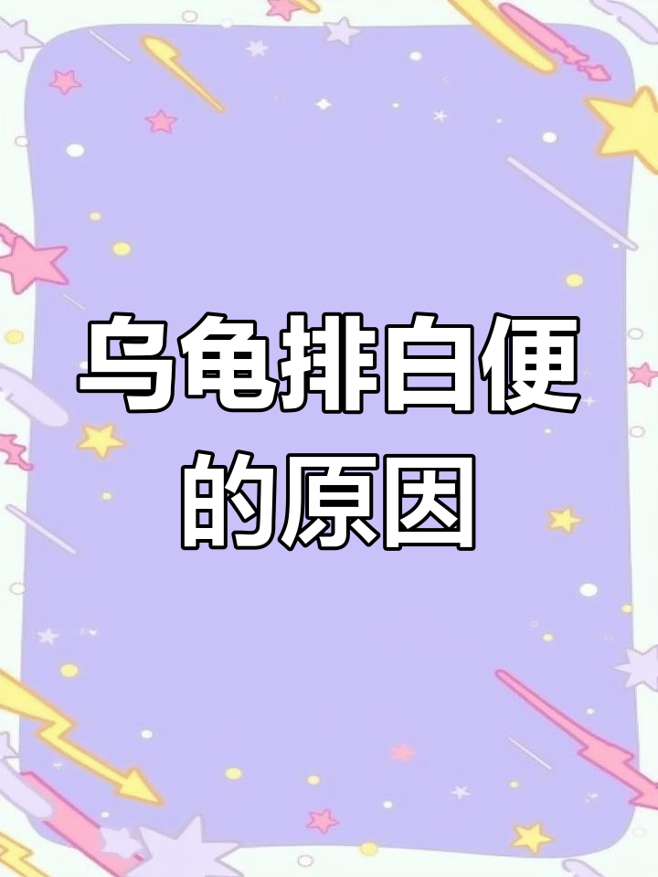 乌龟拉稀(乌龟拉稀怎么治疗方法) 乌龟拉稀(乌龟拉稀怎么治疗方法)