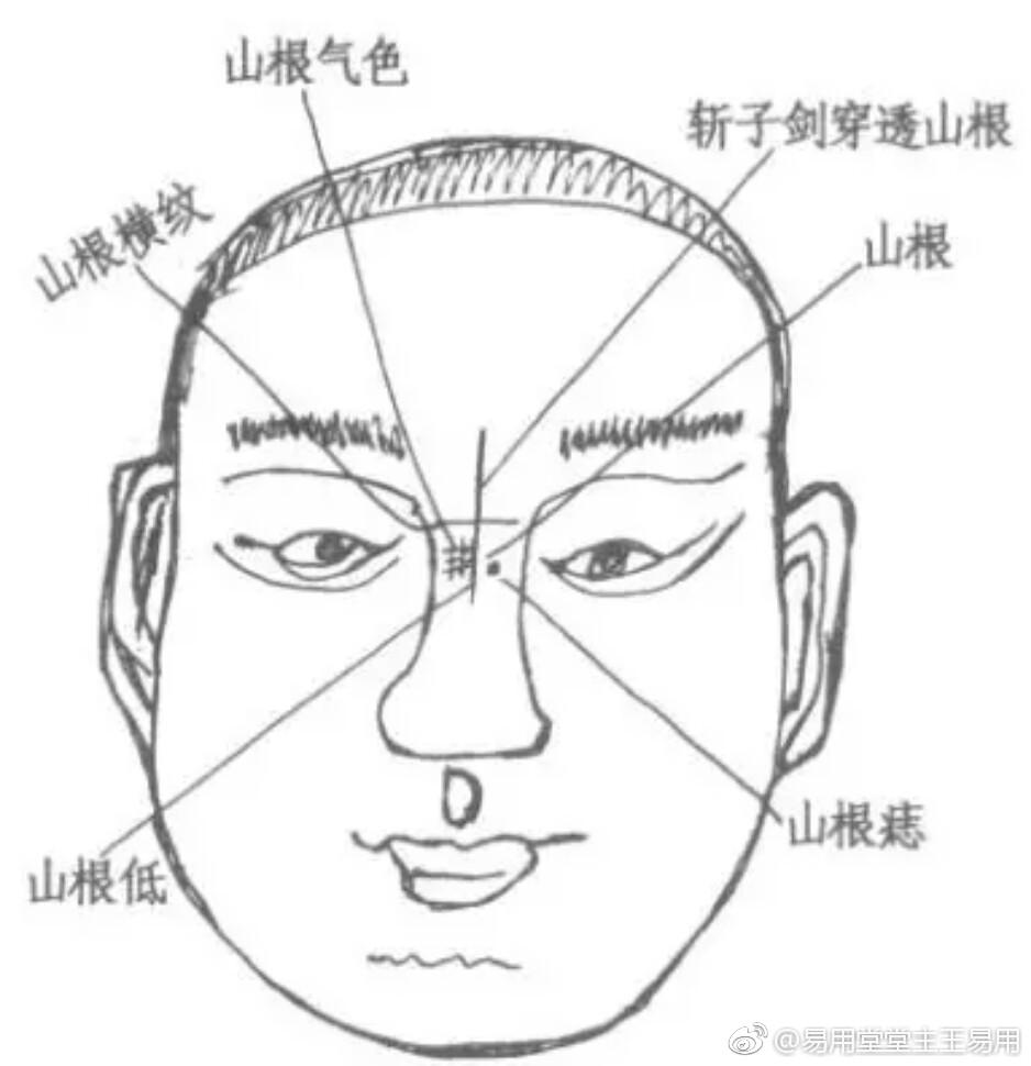 什么叫天庭富贵坑(天庭富贵坑说法是真的还是假的) 什么叫天庭富贵坑(天庭富贵坑说法是真的还是假的)