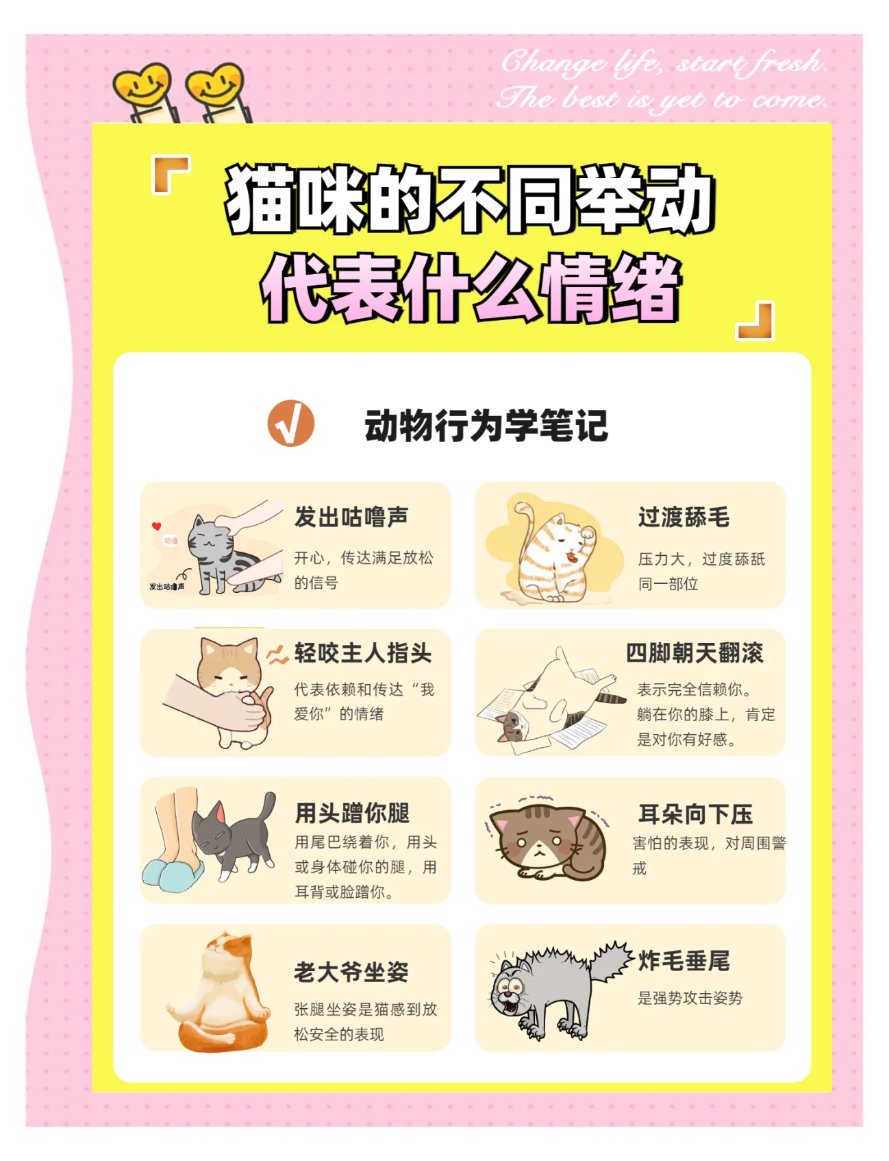 猫用尾巴扫你什么意思(猫用尾巴扫你什么意思蹭你) 猫用尾巴扫你什么意思(猫用尾巴扫你什么意思蹭你)