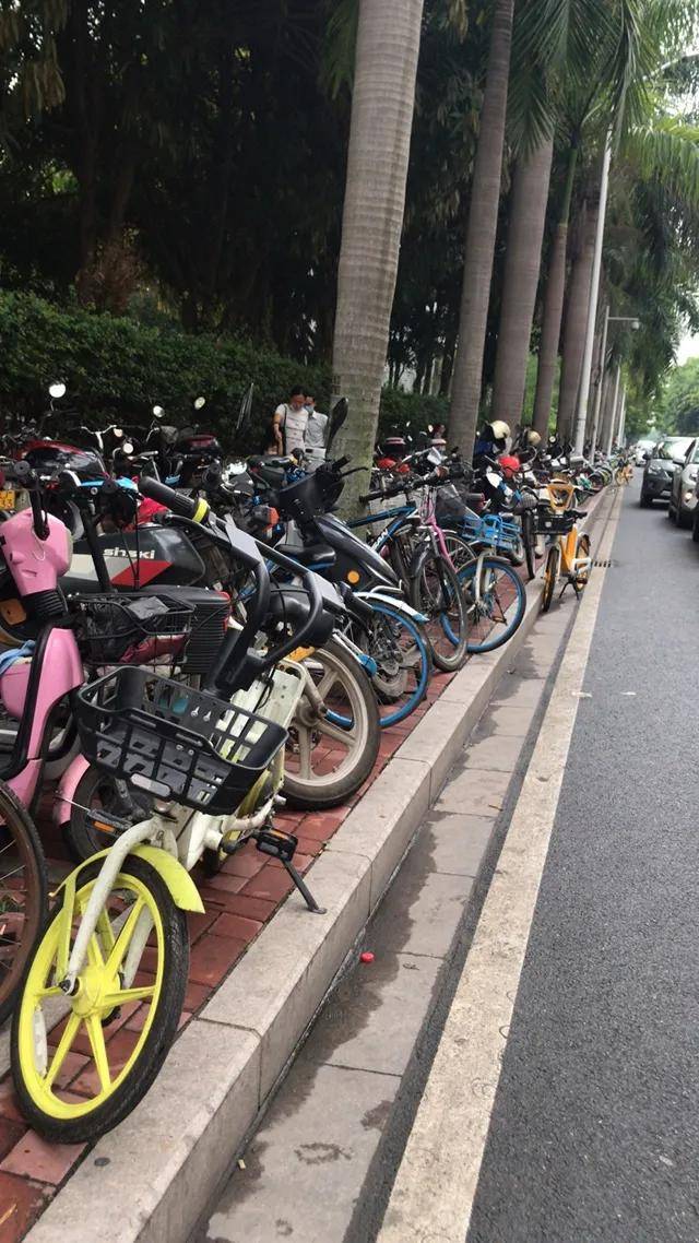 e京(鹅颈藤壶图片) e京(鹅颈藤壶图片)
