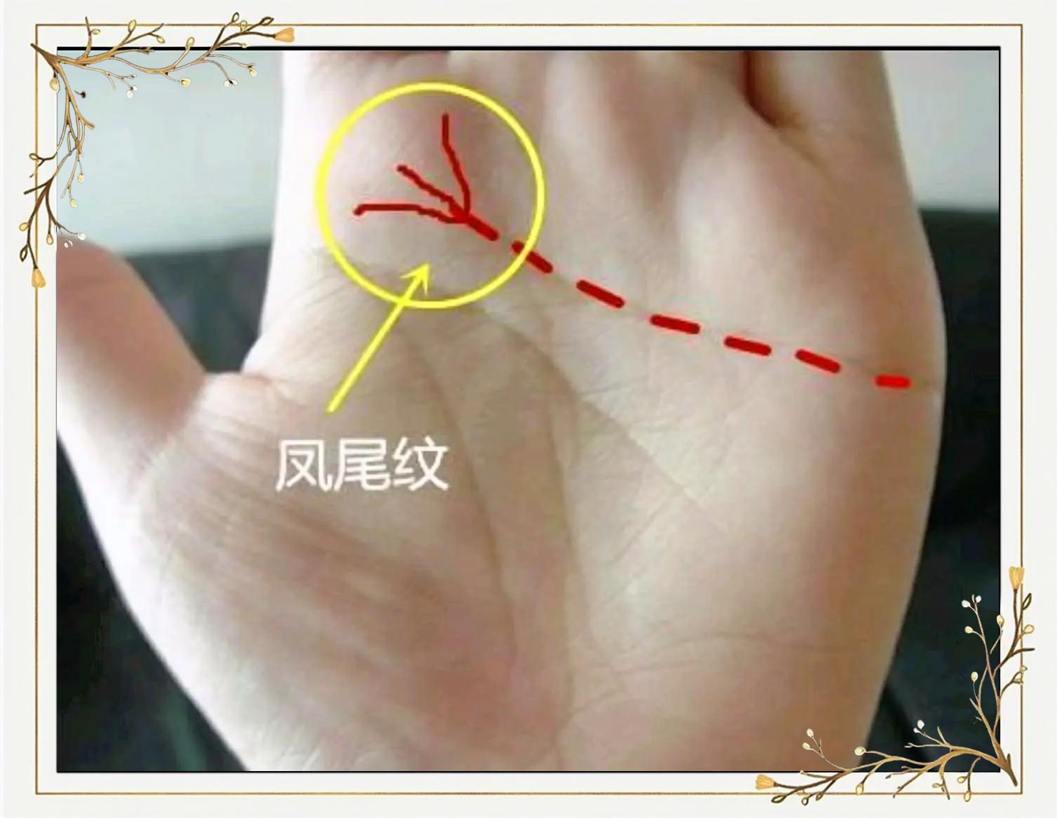 儿女双全的手相(生一儿一女的手相)