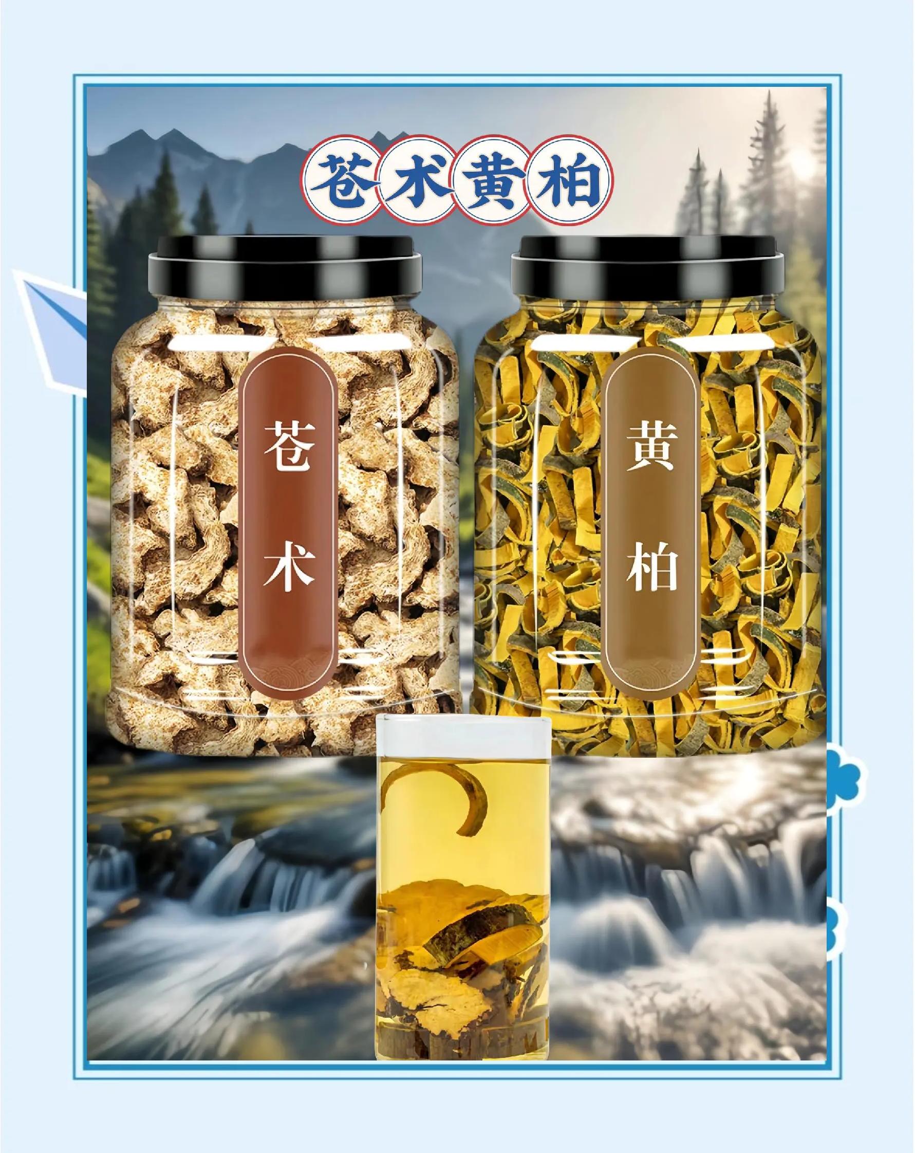 关于苍术和黄柏泡水喝有什么作用?的信息 关于苍术和黄柏泡水喝有什么作用?的信息