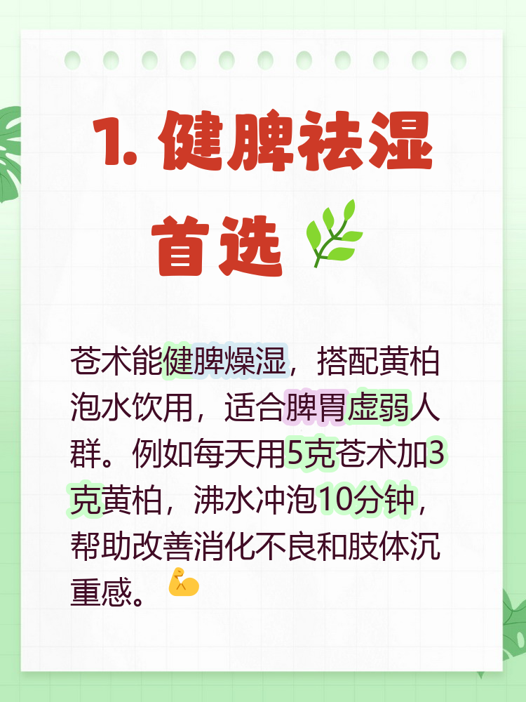 关于苍术和黄柏泡水喝有什么作用?的信息 关于苍术和黄柏泡水喝有什么作用?的信息