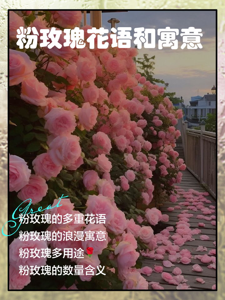 11朵粉玫瑰加满天星的花语(11朵粉色玫瑰花加满天星多少钱)