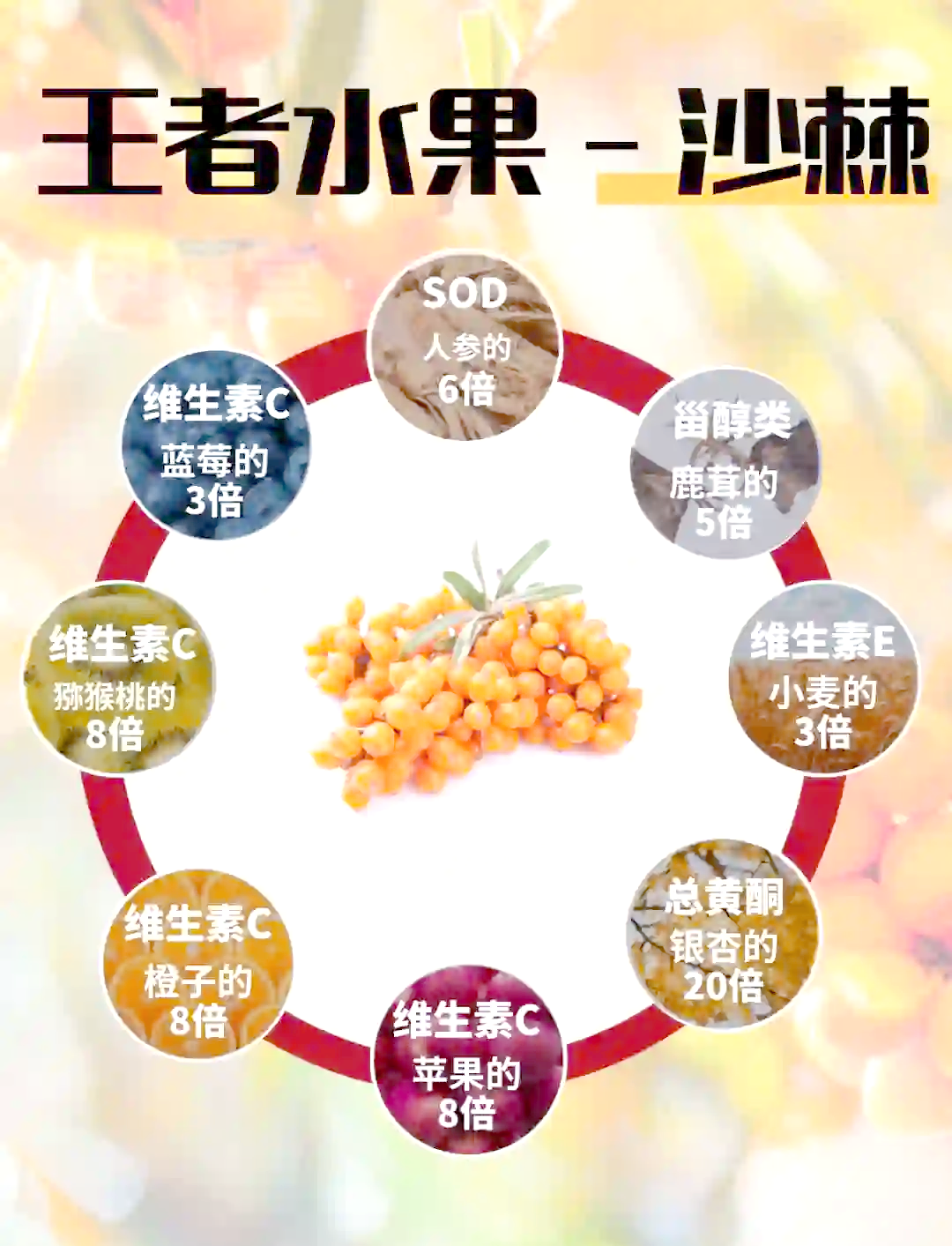 女人喝沙棘汁的功效与作用(女人,你一定要喝沙棘茶!因为) 女人喝沙棘汁的功效与作用(女人,你一定要喝沙棘茶!因为)