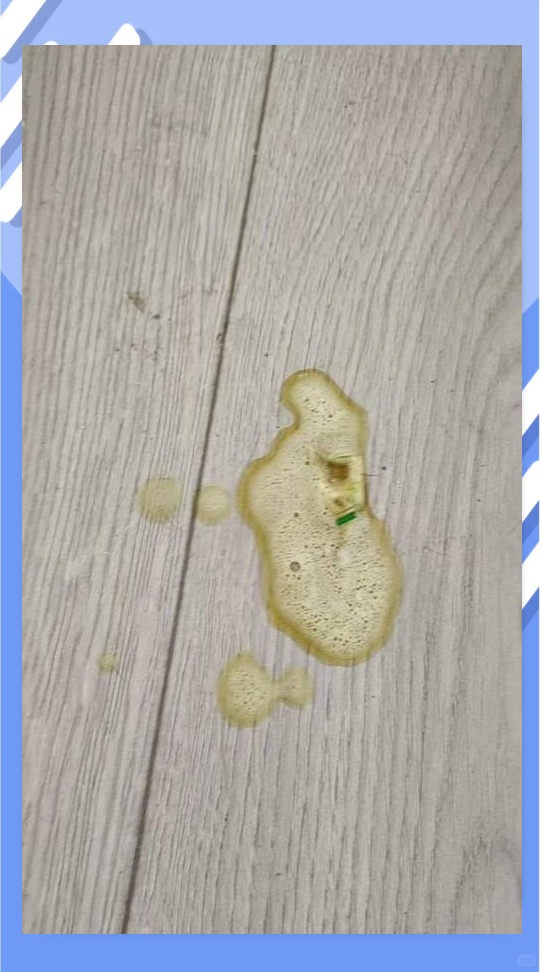 猫吐清水一样的液体精神很好(猫吐清水一样的液体是不是中毒了) 猫吐清水一样的液体精神很好(猫吐清水一样的液体是不是中毒了)