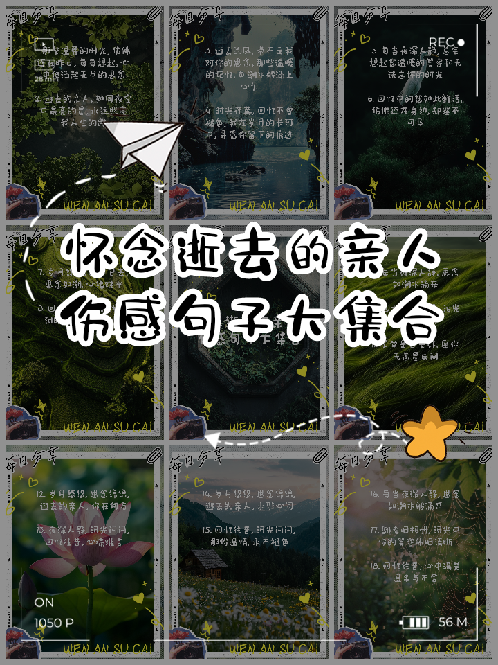 想念一个已经不在亲人的句子(想念一个人却又不在身边的语录) 想念一个已经不在亲人的句子(想念一个人却又不在身边的语录)