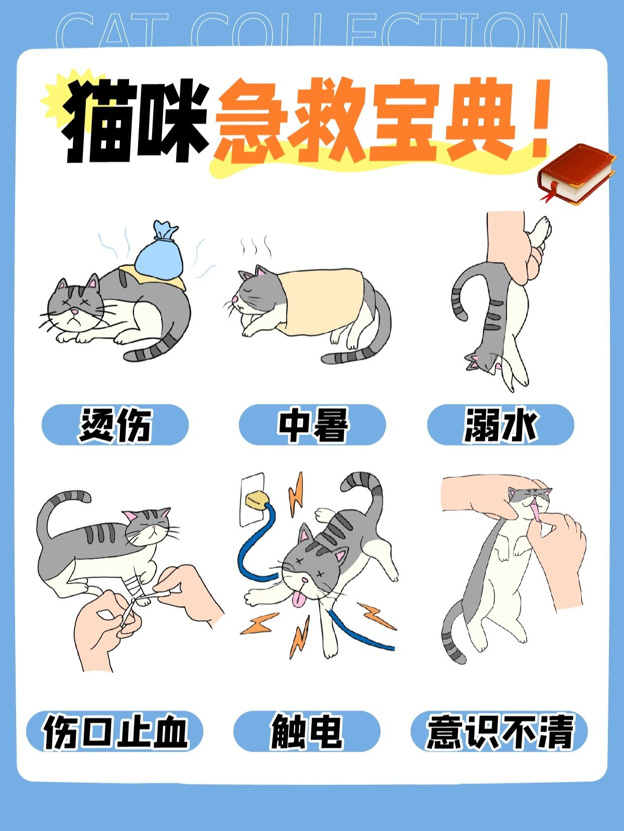 猫被蜜蜂蛰了怎么处理(猫被蜜蜂蛰了怎么处理伤口) 猫被蜜蜂蛰了怎么处理(猫被蜜蜂蛰了怎么处理伤口)