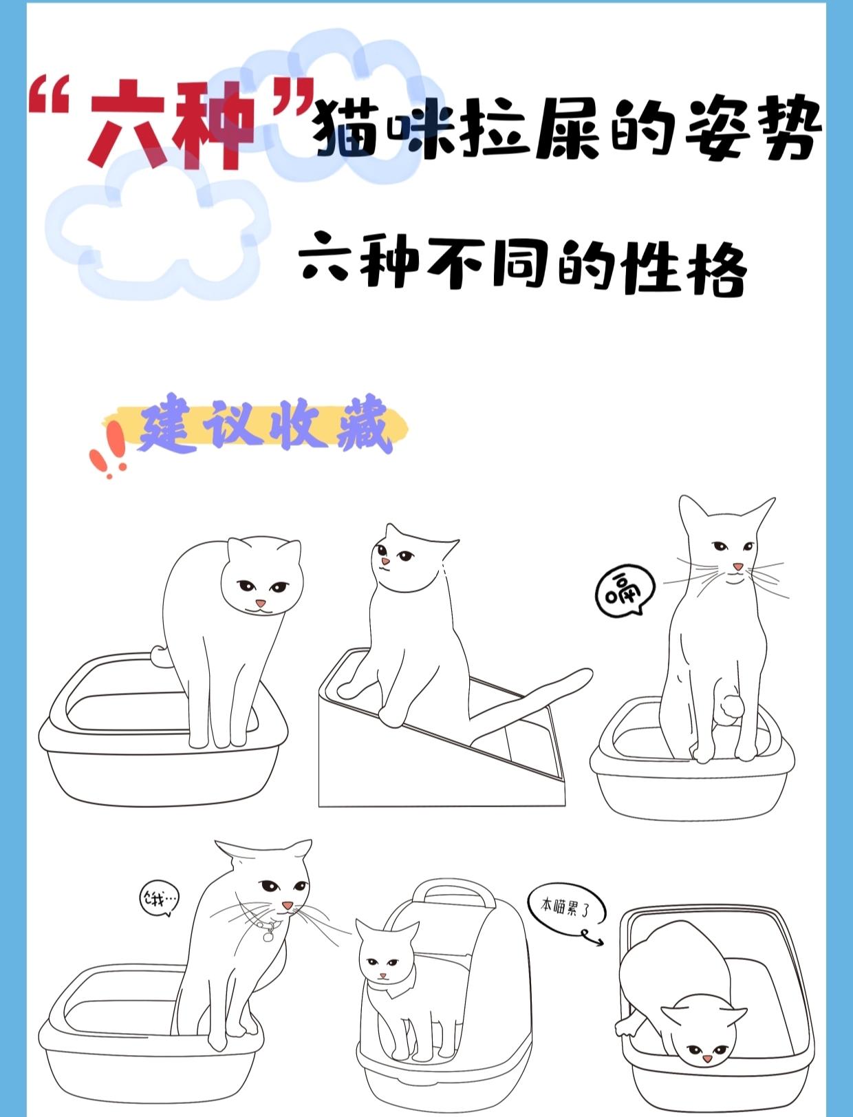猫咪便秘怎么办(猫咪便秘怎么办最简单的方法) 猫咪便秘怎么办(猫咪便秘怎么办最简单的方法)