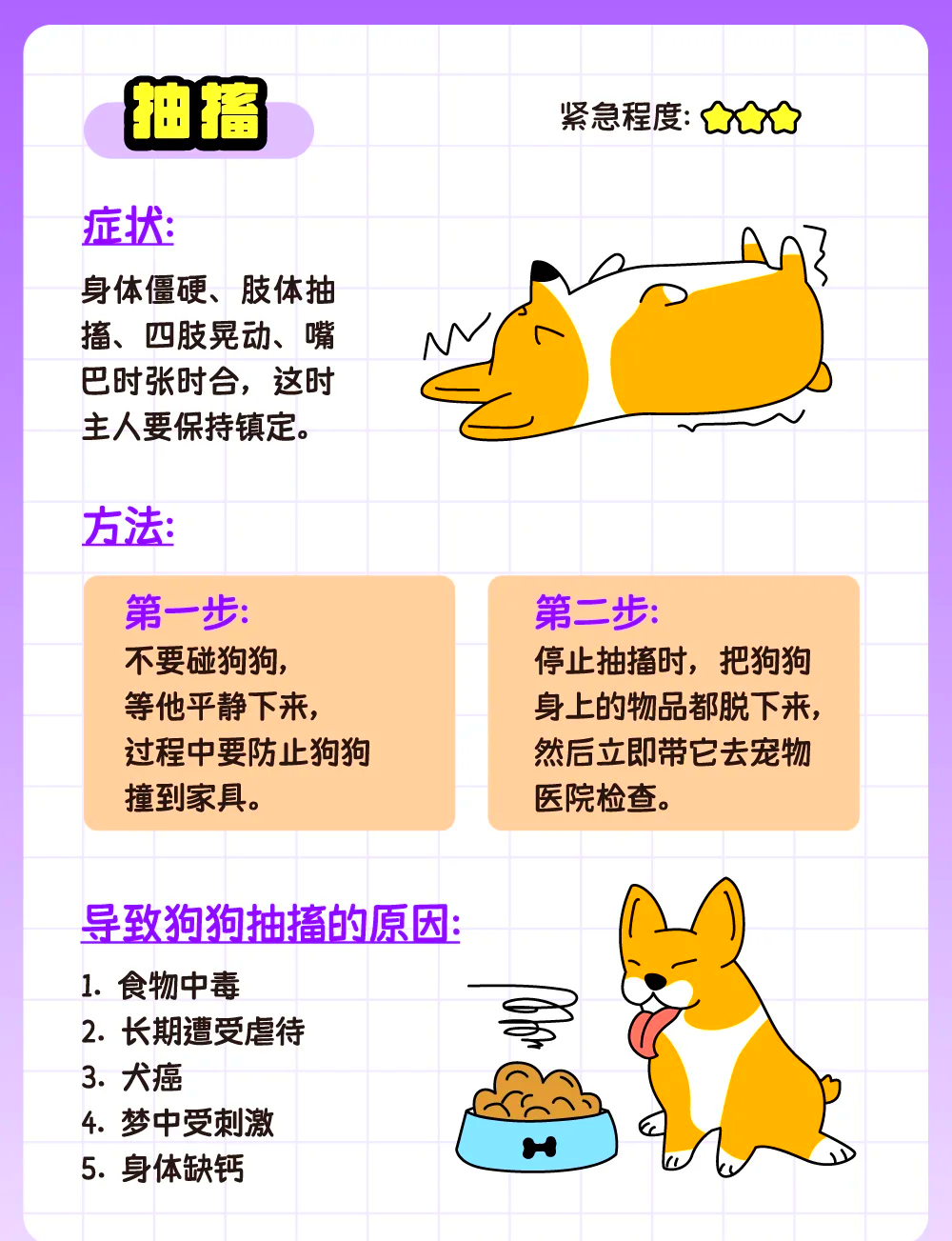 狗咬尾巴是什么原因?(狗咬尾巴是什么原因导致的) 狗咬尾巴是什么原因?(狗咬尾巴是什么原因导致的)
