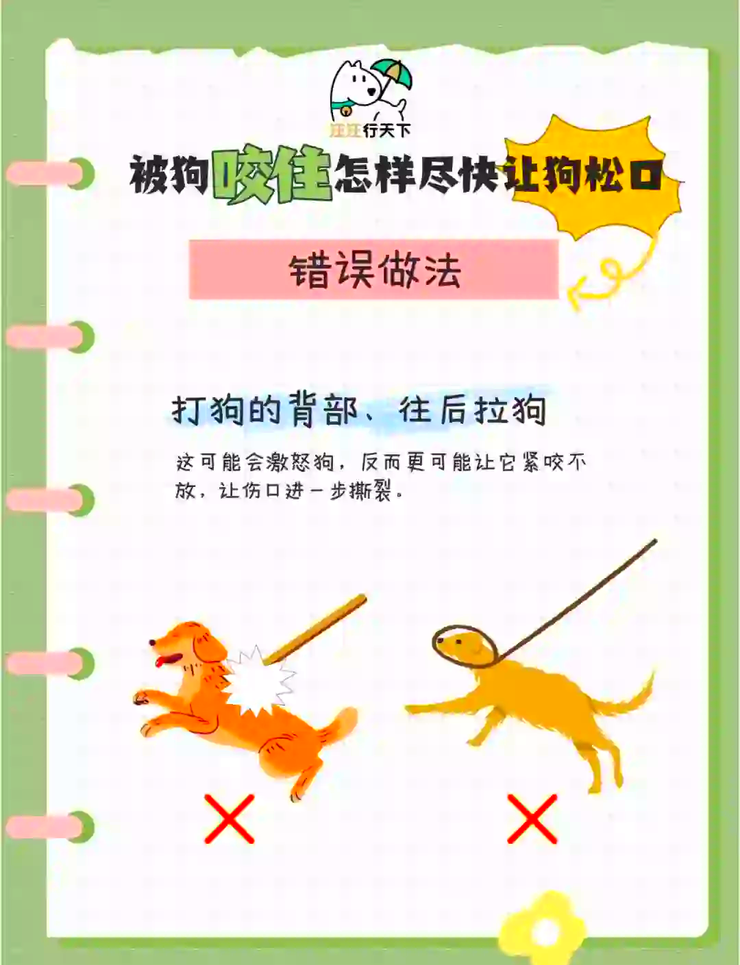 狗咬尾巴是什么原因?(狗咬尾巴是什么原因导致的) 狗咬尾巴是什么原因?(狗咬尾巴是什么原因导致的)
