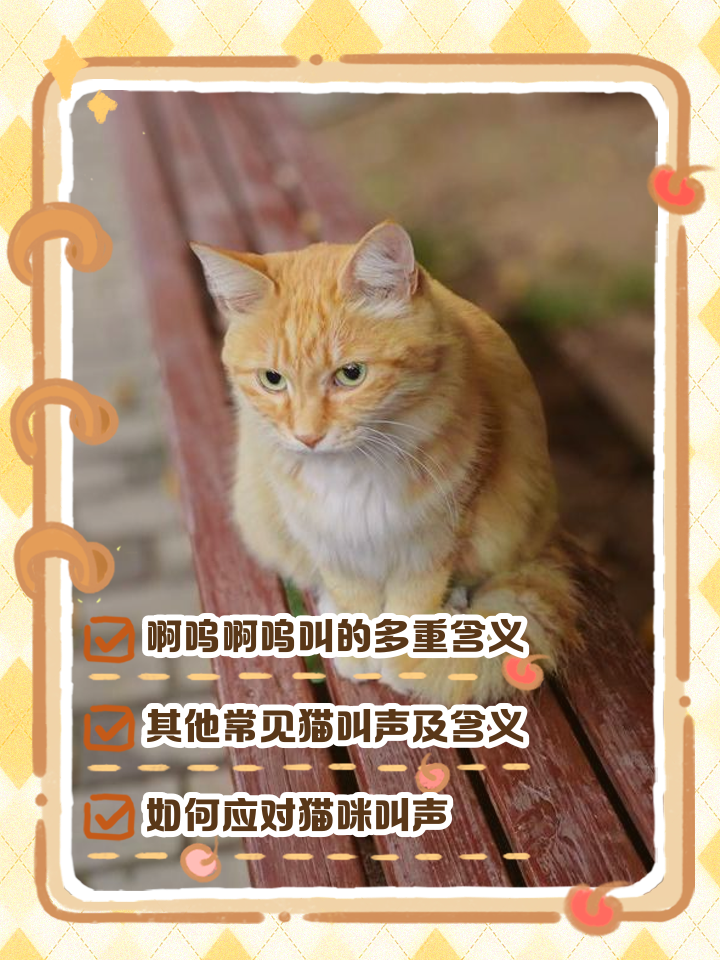 猫咪一直叫怎么回事(猫咪一直叫是什么情况?) 猫咪一直叫怎么回事(猫咪一直叫是什么情况?)