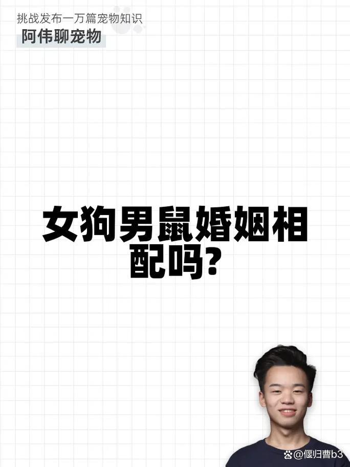 94狗男96鼠女五行相克大灾(94男狗和96女鼠的婚姻,她他俩能成夫妻吗) 94狗男96鼠女五行相克大灾(94男狗和96女鼠的婚姻,她他俩能成夫妻吗)