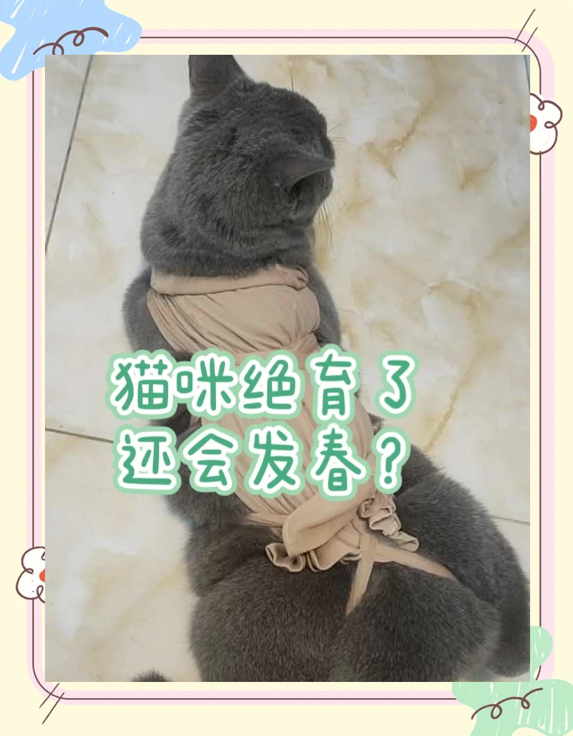 猫咪发春的救治办法(猫咪发春的救治办法视频)