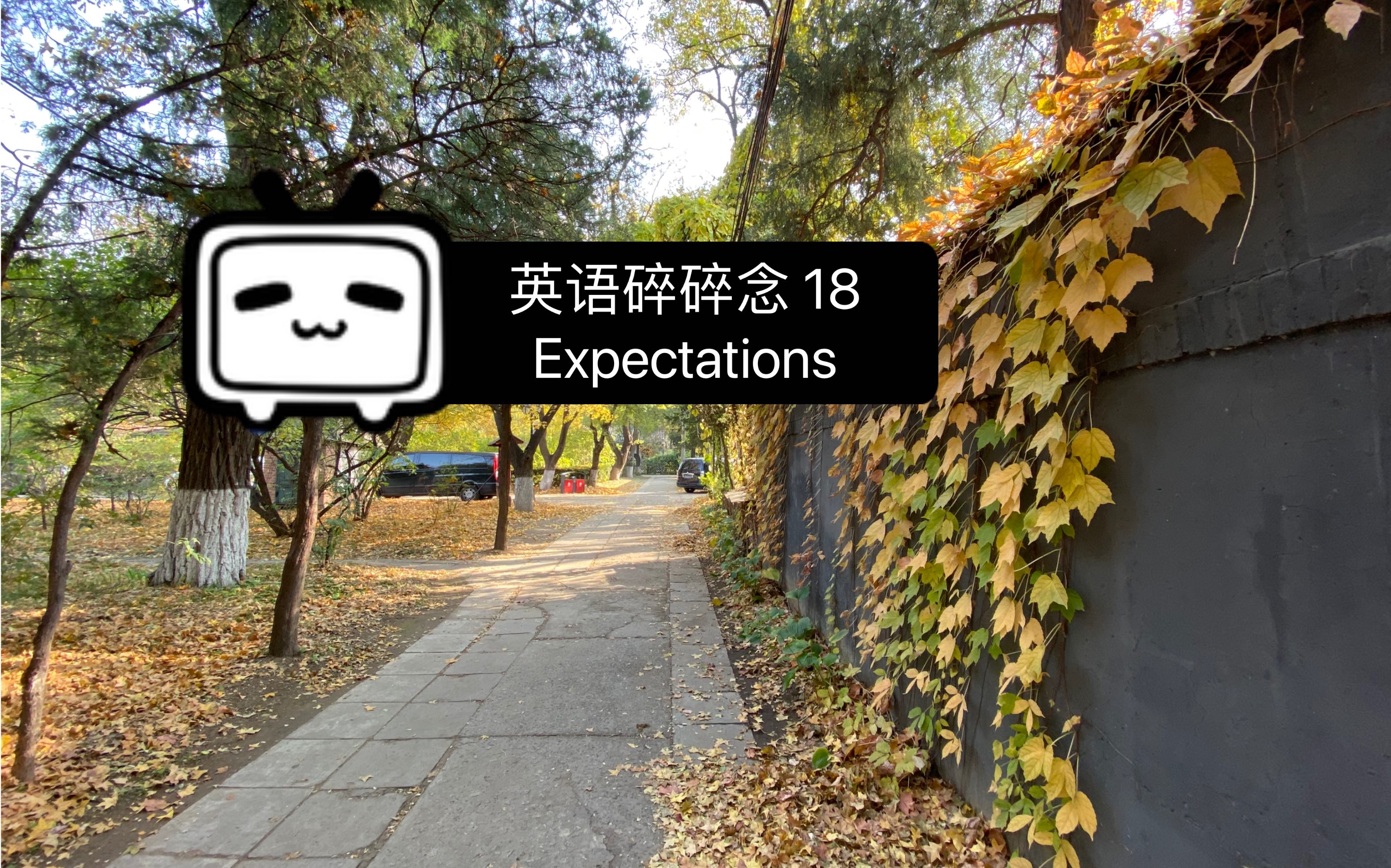 expectation(expectational) expectation(expectational)