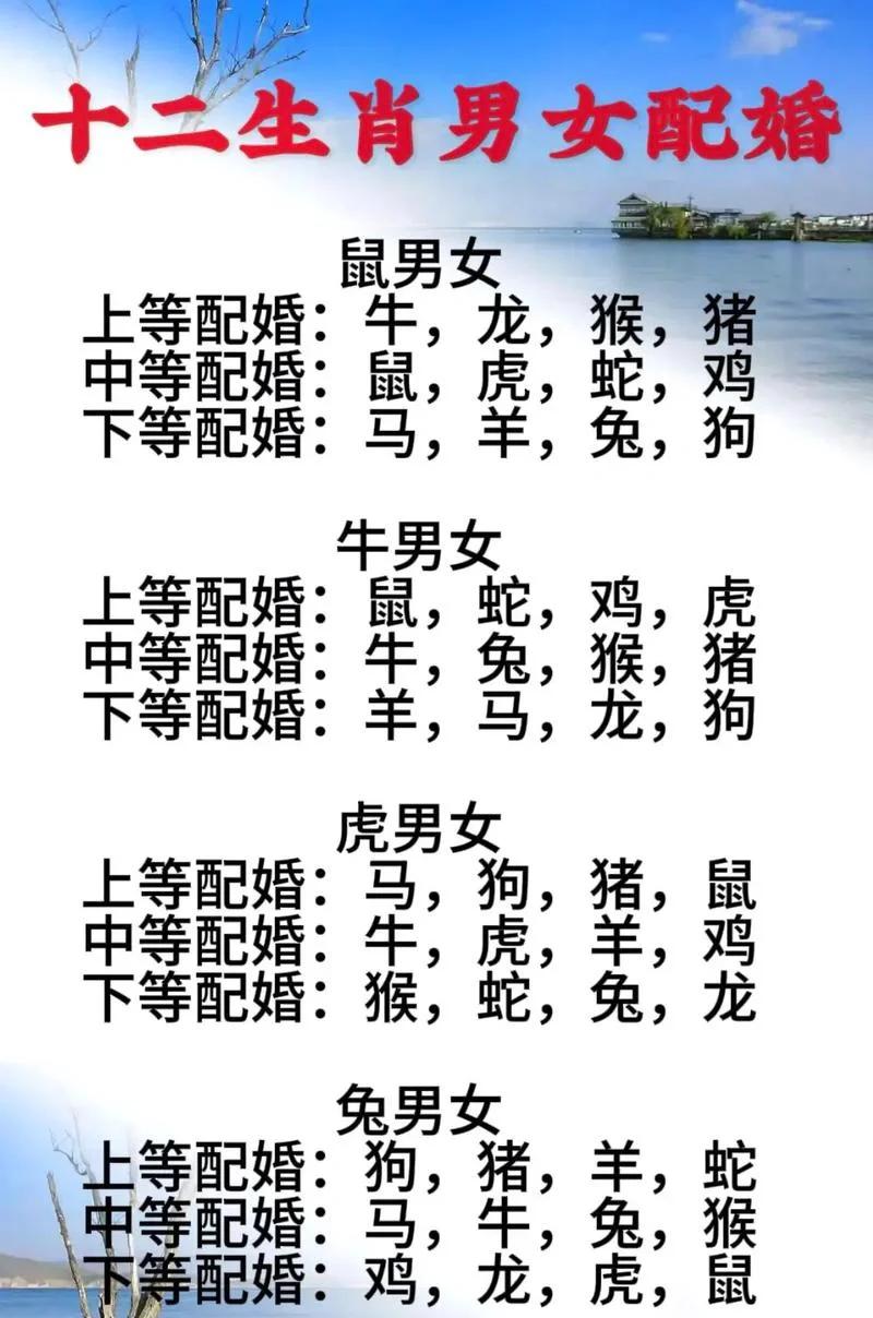 1978年属马的最佳配偶(1978年属马的最佳配偶是什么属相?)