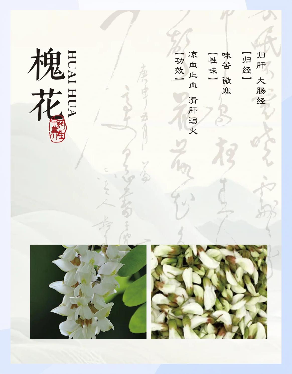 干槐花泡水喝的功效(干槐花的功效与作用及禁忌是什么) 干槐花泡水喝的功效(干槐花的功效与作用及禁忌是什么)