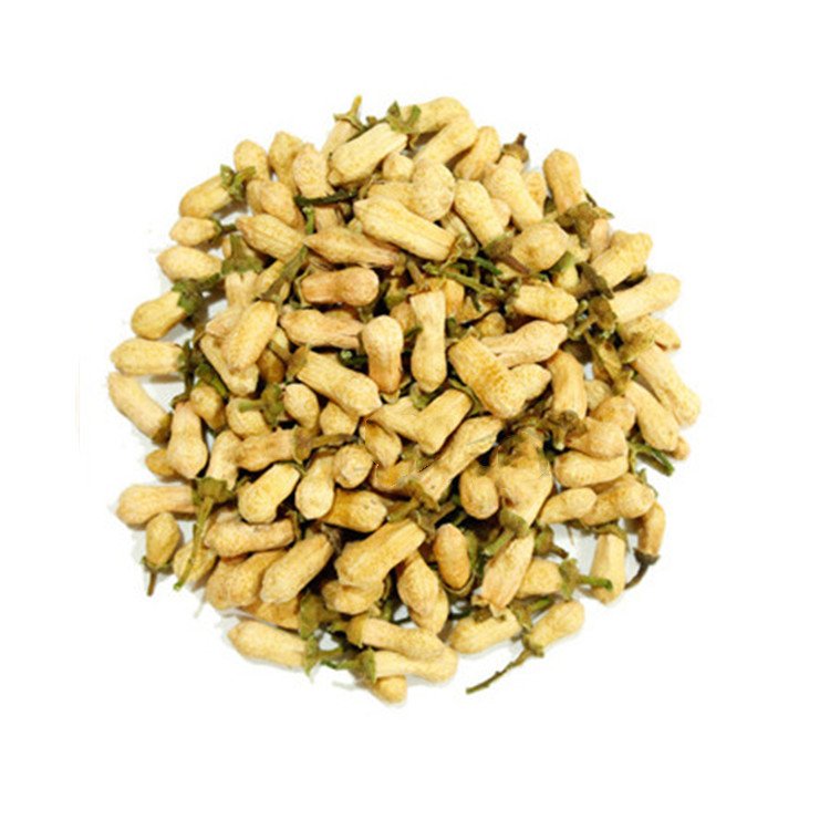 代代花是什么花(代代花是什么花有药用价值吗?) 代代花是什么花(代代花是什么花有药用价值吗?)