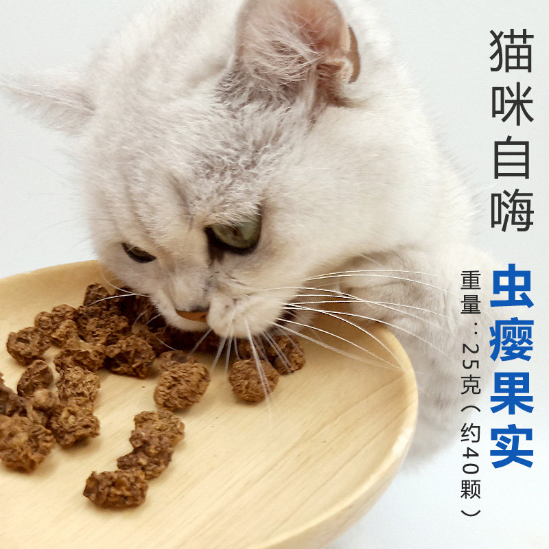 虫瘿果(虫瘿果拼音) 虫瘿果(虫瘿果拼音)