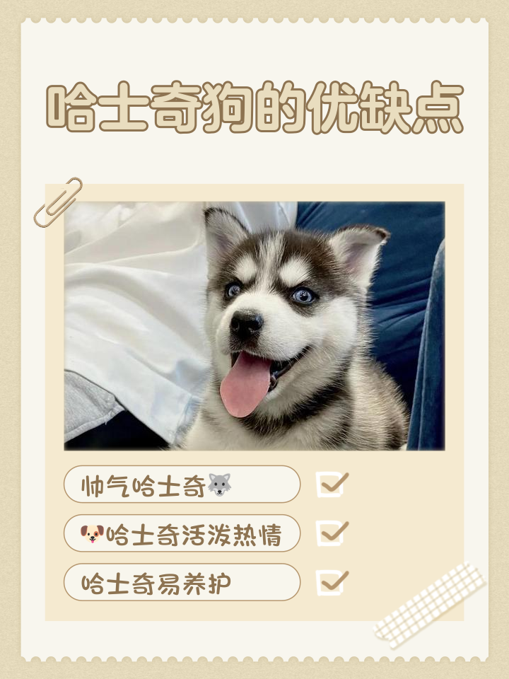 幼犬能吃西瓜吗(幼狗可以吃西瓜吗)