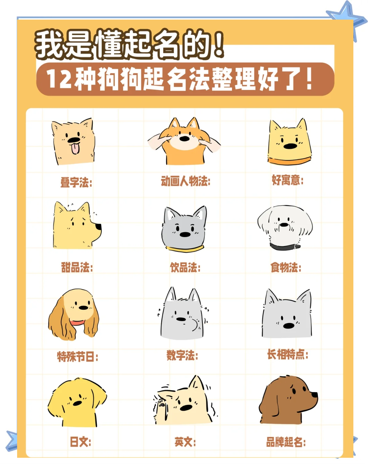 小狗起名字招财霸气(小狗起名字招财霸气不俗气)