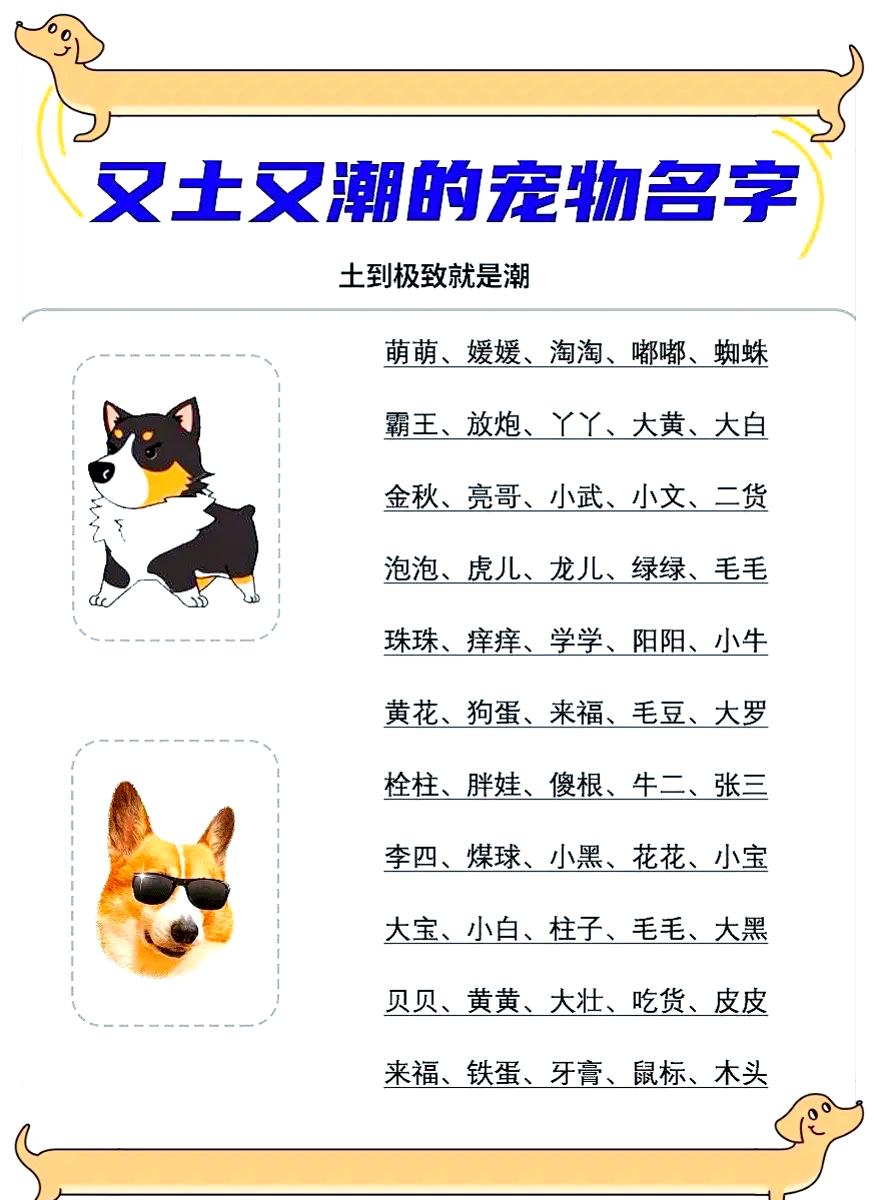 小狗起名字招财霸气(小狗起名字招财霸气不俗气)