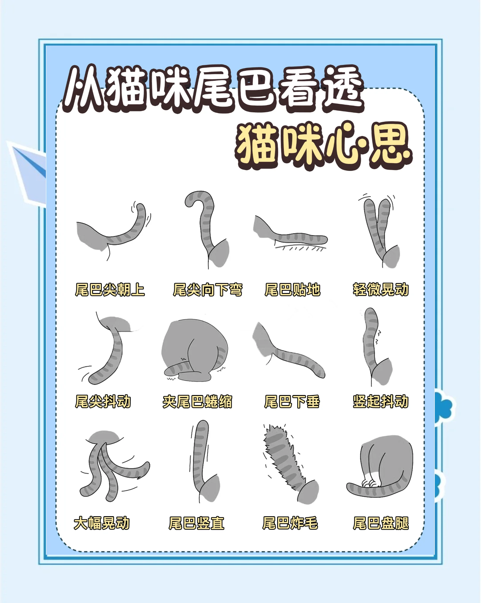 拽猫尾巴会怎么样(拽猫尾巴会怎么样图片)