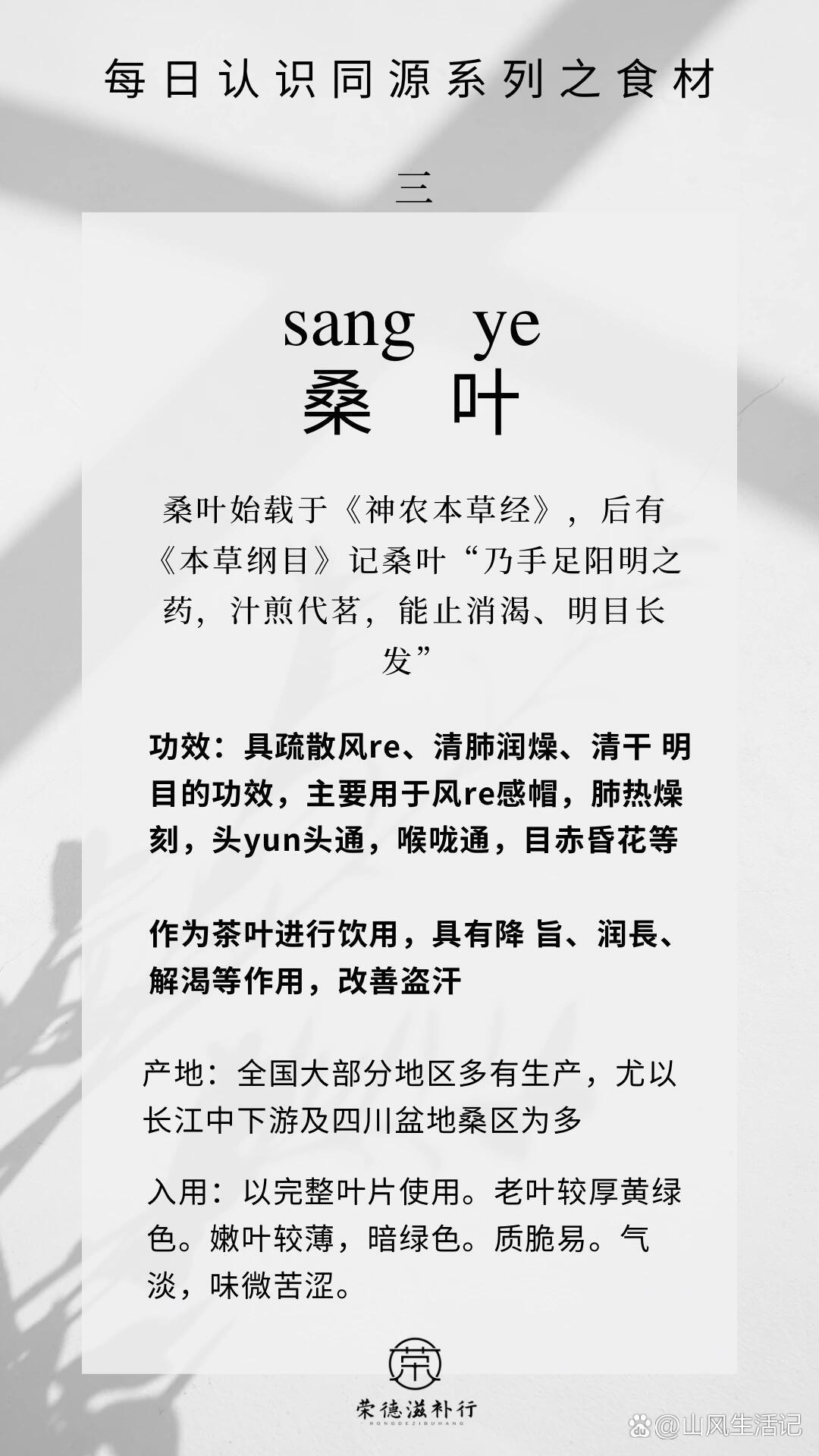 桑叶茶对性功能有影响吗(桑叶茶会影响男性性功能吗)