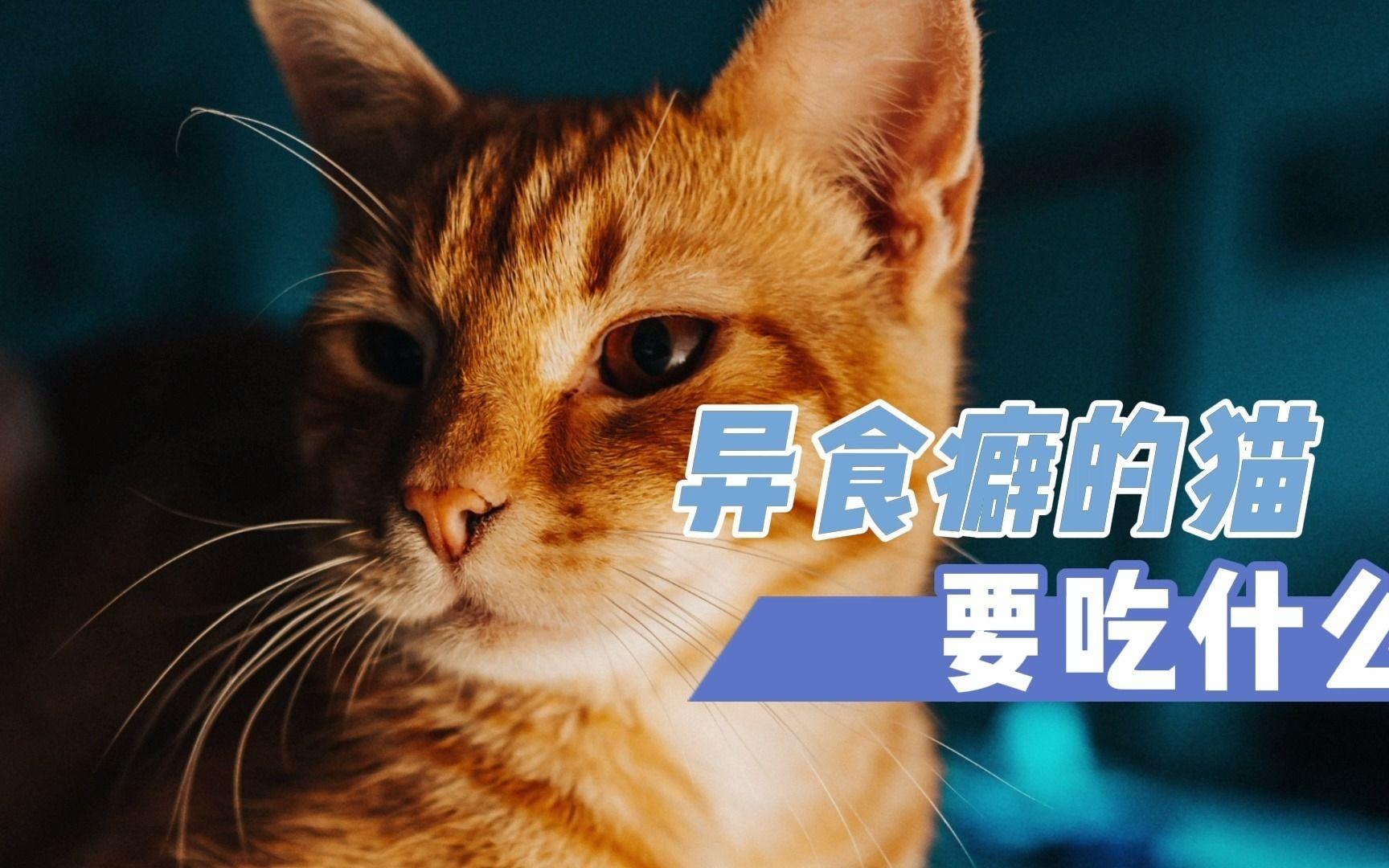 异食癖是什么意思(异食癖的症状表现为) 异食癖是什么意思(异食癖的症状表现为)