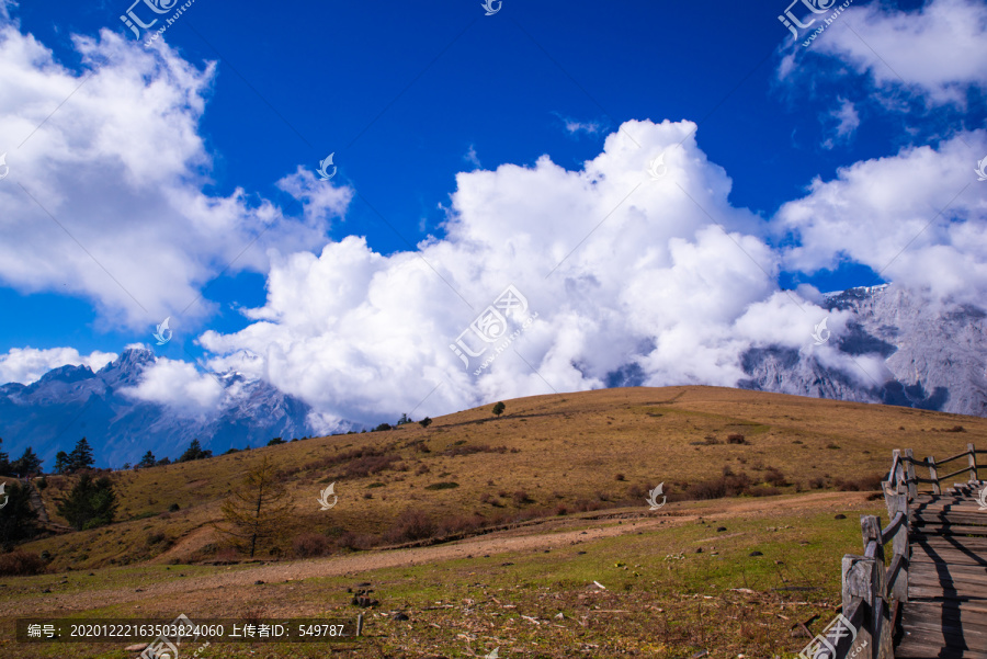 高山牧场精校(高山牧场无错字) 高山牧场精校(高山牧场无错字)